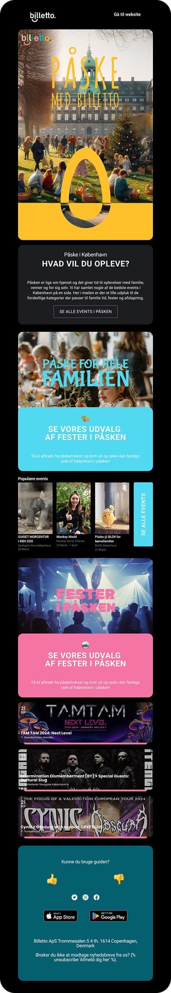 Kampagne-e-mail efter